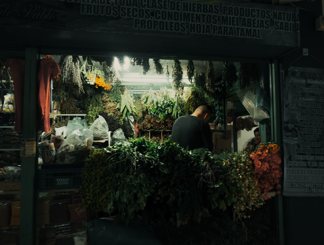 업체 (merchant)