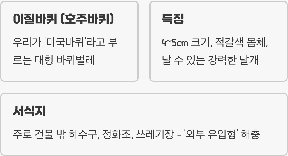 여름밤의 침입자, 그의 정체는?