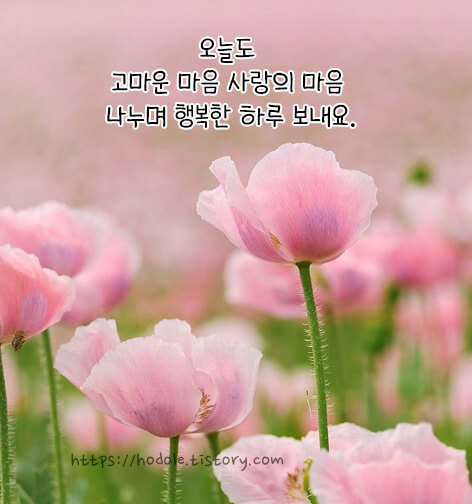 오늘도-행복