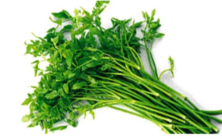 미나리 효능 해독