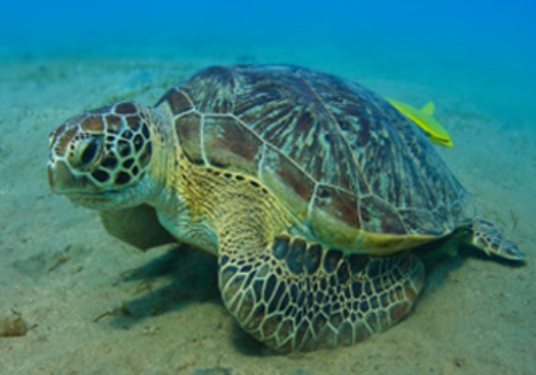 울진 아쿠아리움