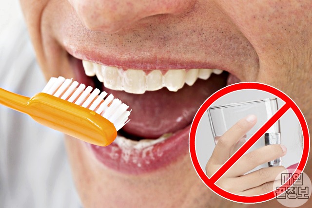 외국의 황당한 생활 문화,양치하고 삼키기