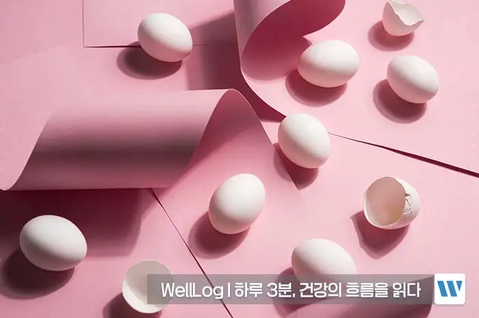 난각막가수분해물 효능, 복용법