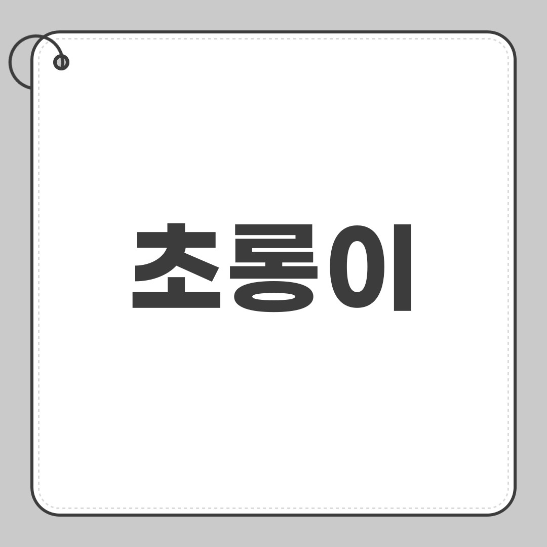 초롱이