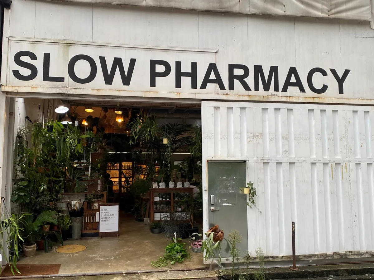 성수-놀거리-추천-식물-구경하기-좋은-가드닝샵-슬로우파마씨