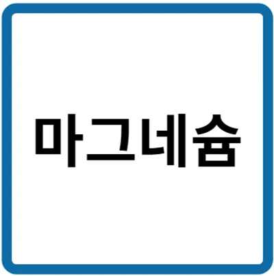 마그네슘