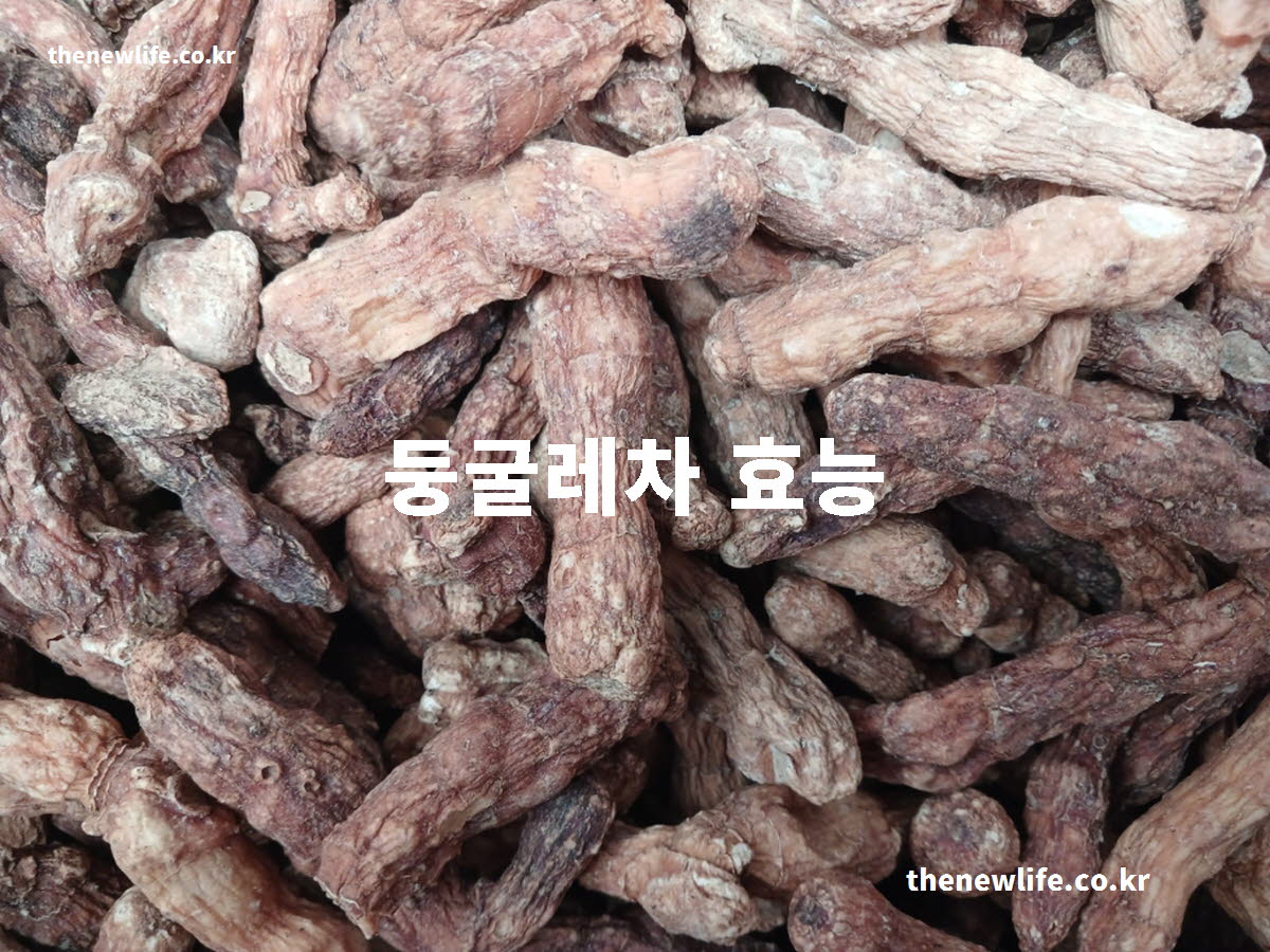 둥굴레차 효능 대표 실사진