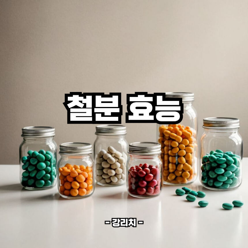 철분 효능