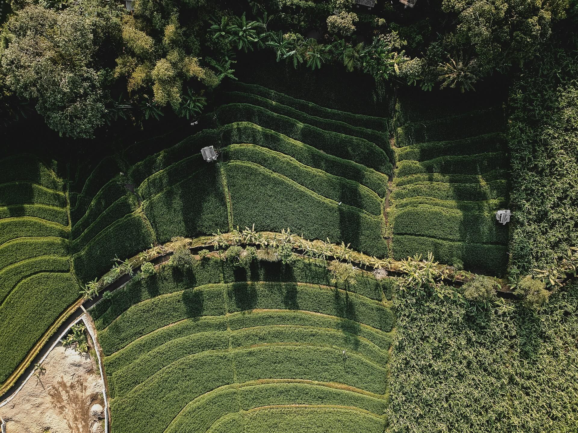 디지털 트윈 기반 탄소중립 농업 모델 구축 실시간 시뮬레이션