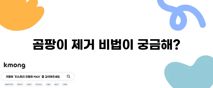 찬장에 곰팡이 생겼을 때 없애는 방법