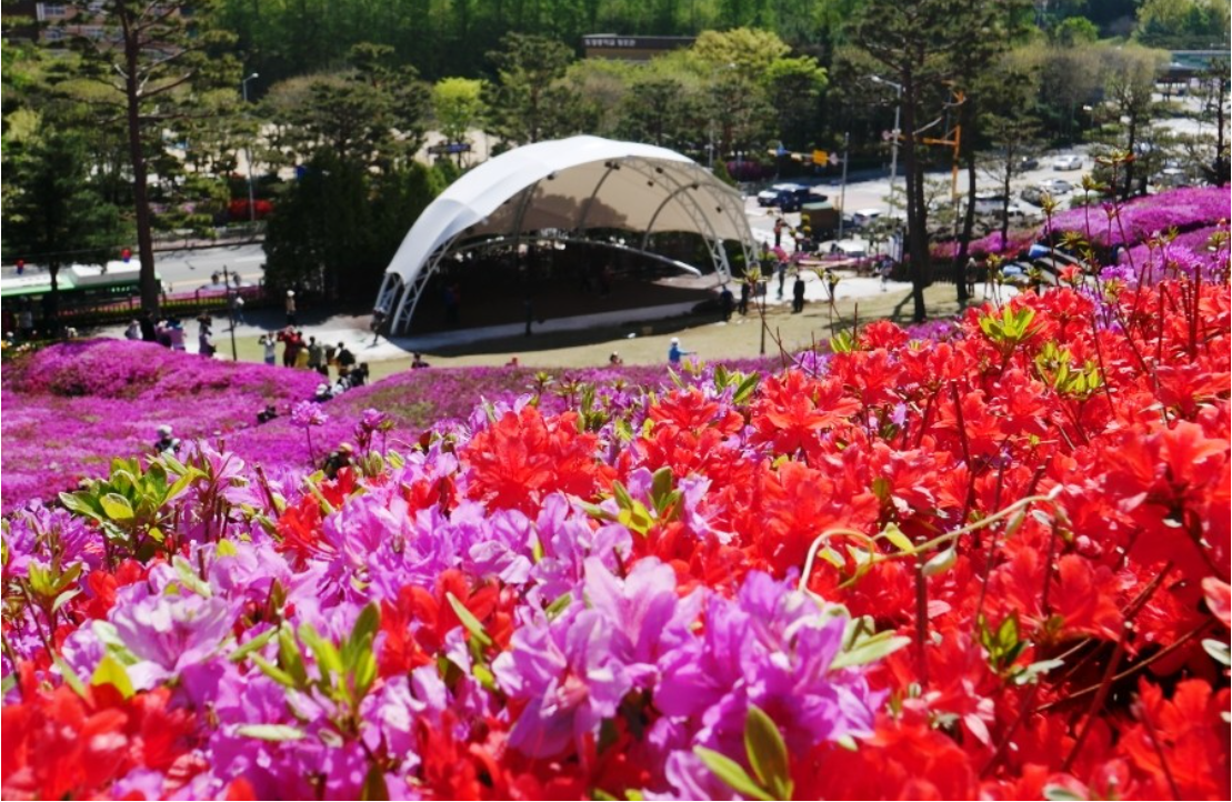 군포 철쭉축제.일정.가는길.주차장.2023년안내