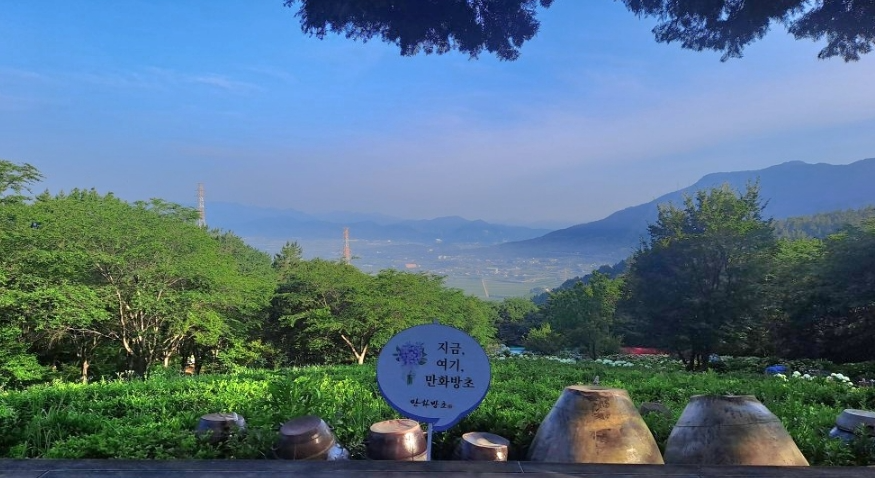 만화방초