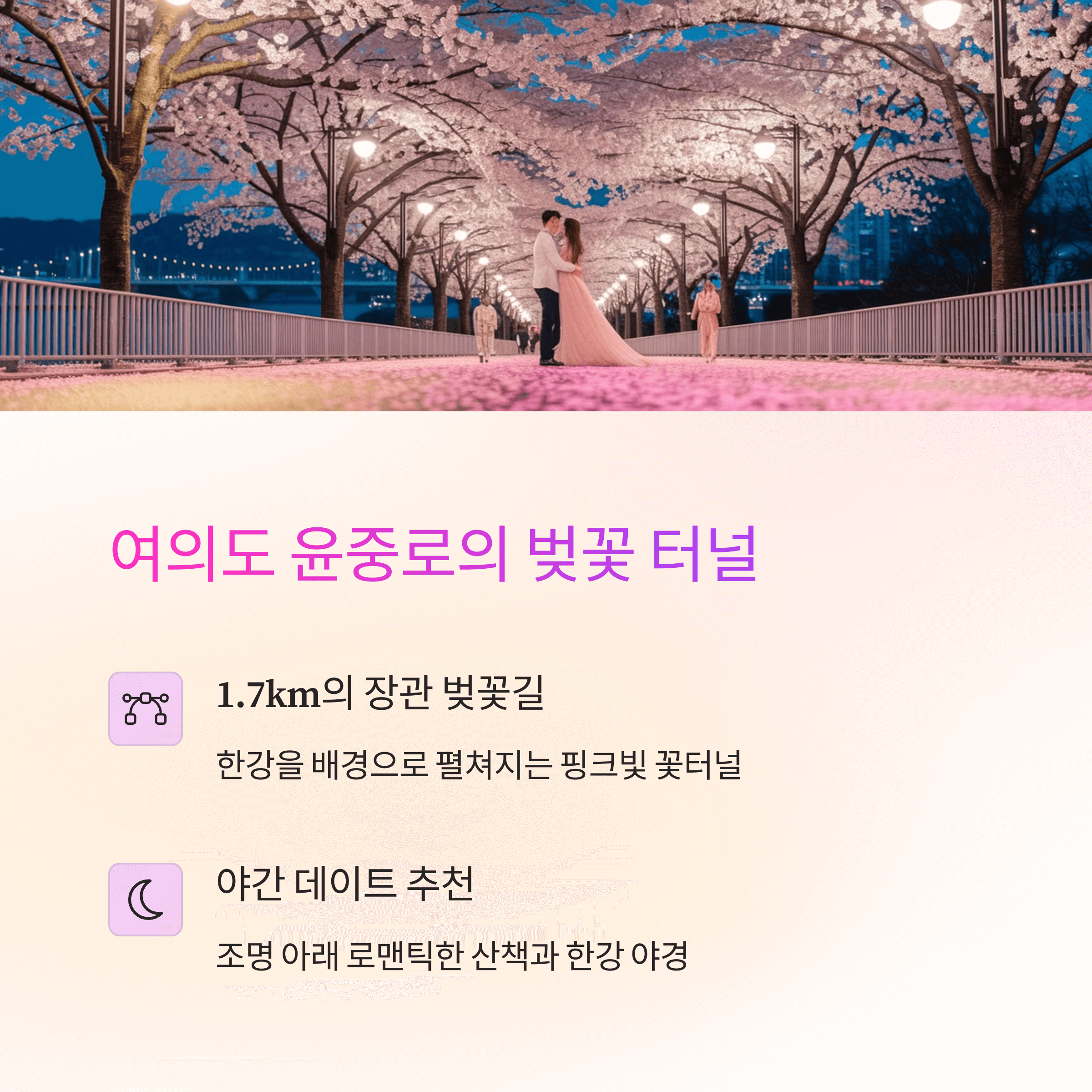 벚꽃 데이트 코스 추천, 로맨틱한 하루를 위한 완벽 가이드