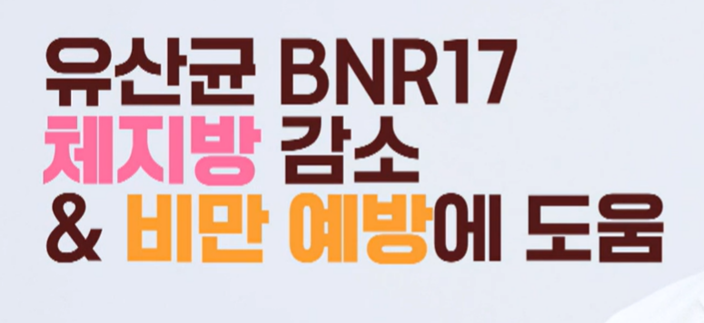 bnr17 유산균 효능