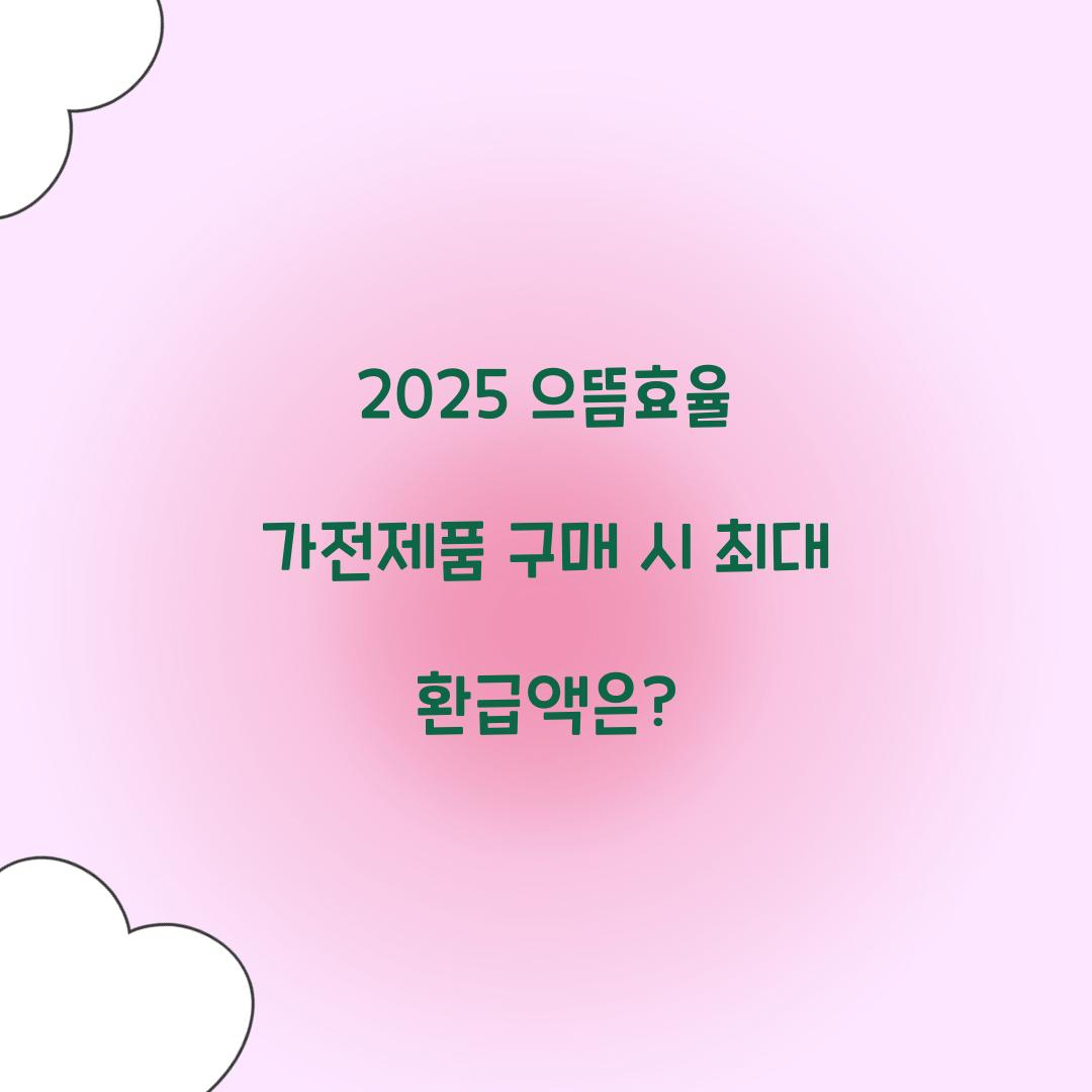 2025 으뜸효율 가전제품