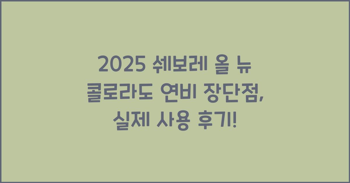 2025 쉐보레 올 뉴 콜로라도 연비 장단점