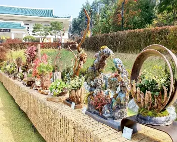 청남대_17