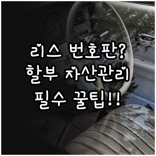 자동차 리스 일반 번호판 사용과 할부..