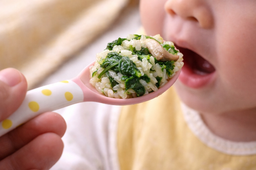 아기가 소고기 아욱 느타리버섯 진밥 먹는 모습