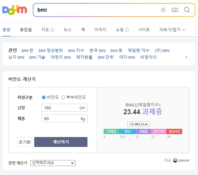 다음과 네이버 BMI 계산 결과 비교