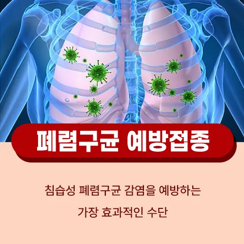 폐렴구균 예방접종