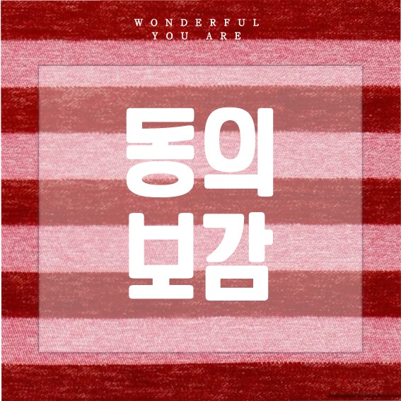 동의보감 핵심 가이드: 조선 의학의 정수와 현대적 통찰