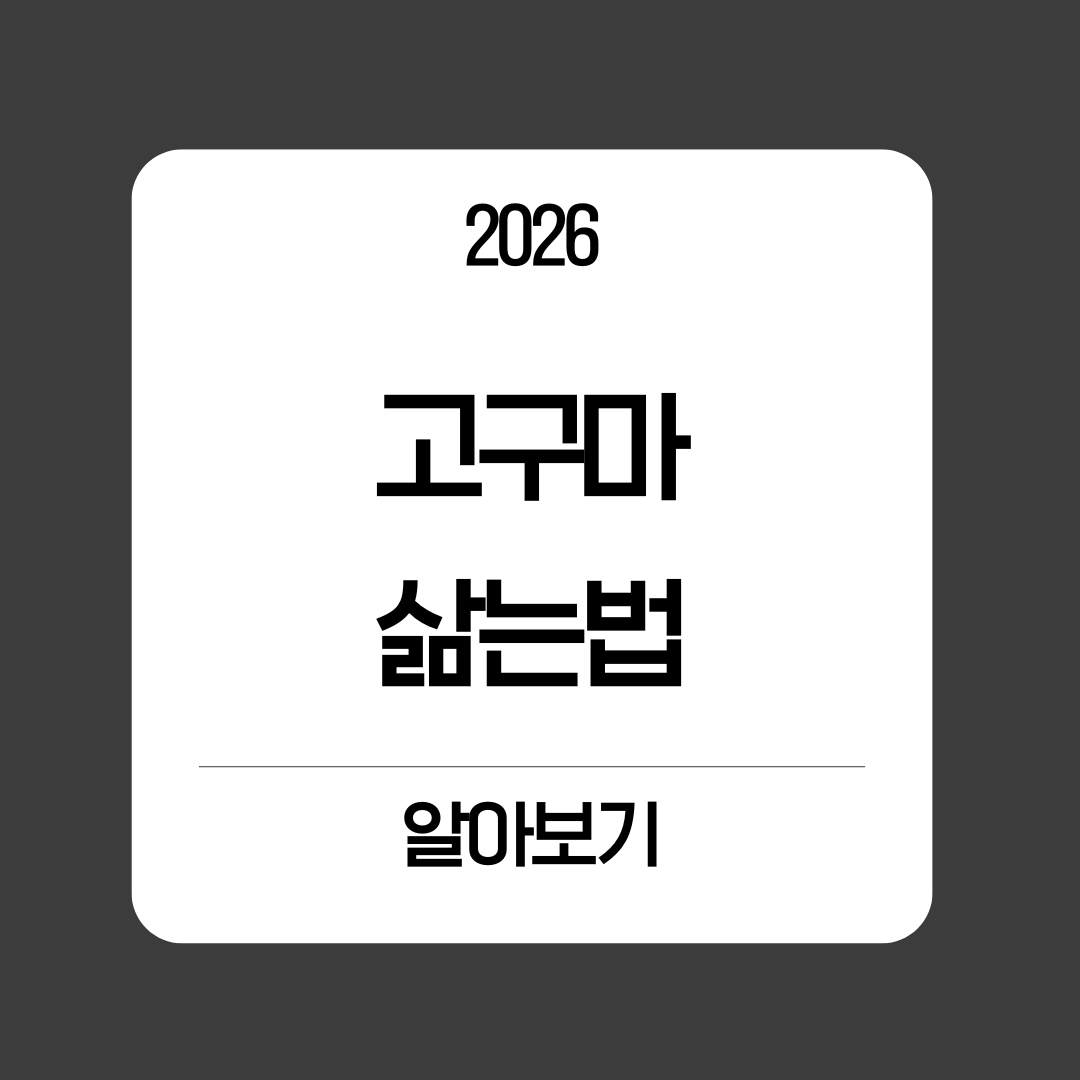 고구마 삶는법 알아보기