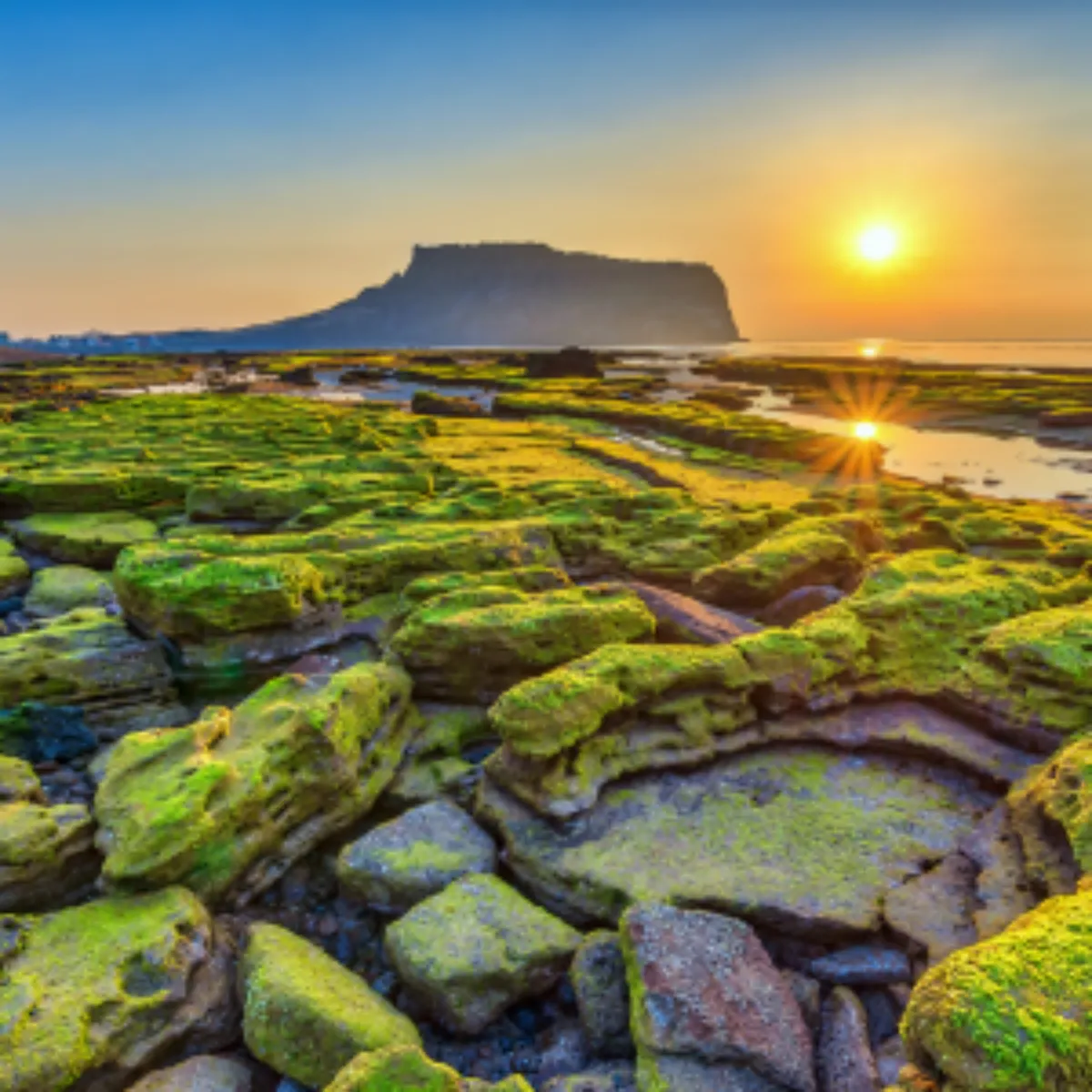 2025년 새해 일출 명소