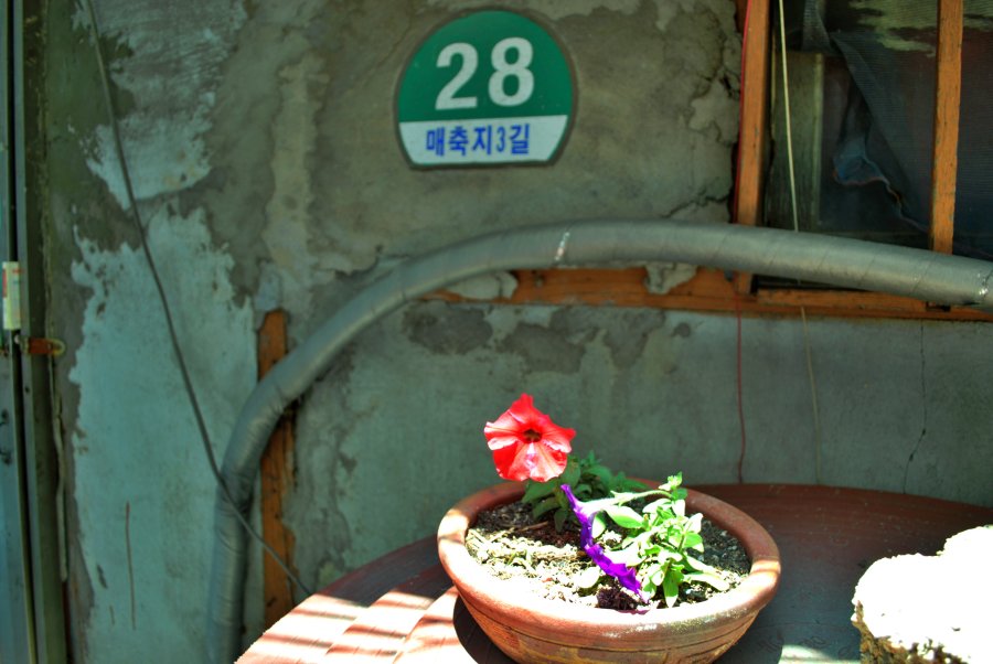 매축지마을