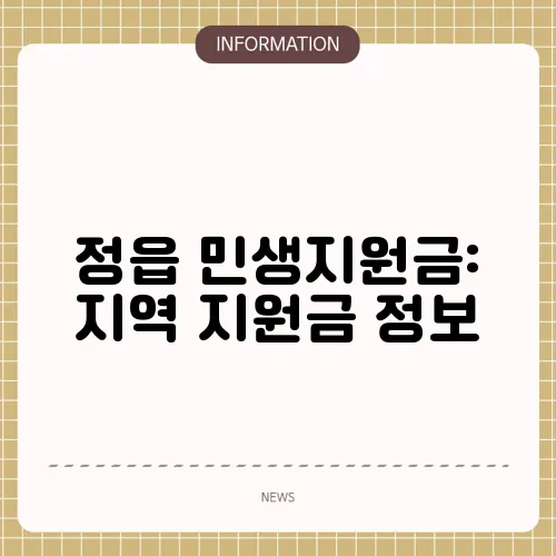 정읍 민생지원금: 지역 지원금 정보