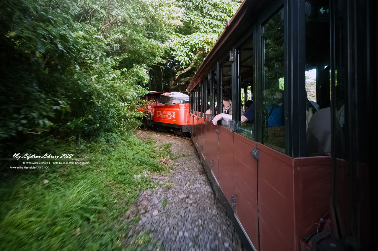 #제주 #에코랜드 #연못 #호수 #기차 #2022제주여행