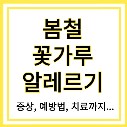 봄철 꽃가루 알레르기 증상, 예방법, 치료법까지 한눈에 정리