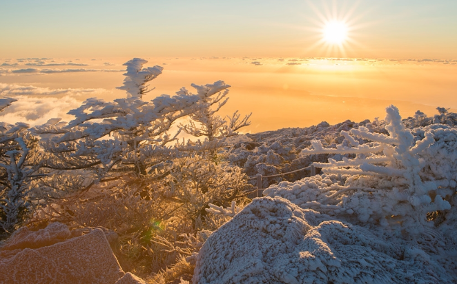 12월 트립닷컴 할인코드 놓치면 후회하는 꿀팁