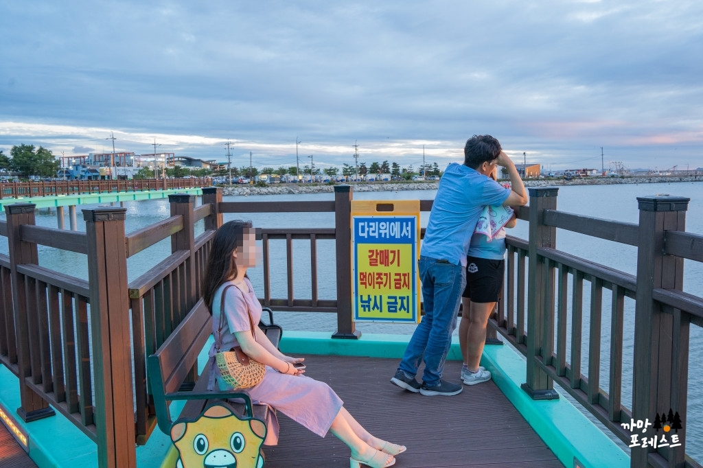 궁평항 낙조길 전망대