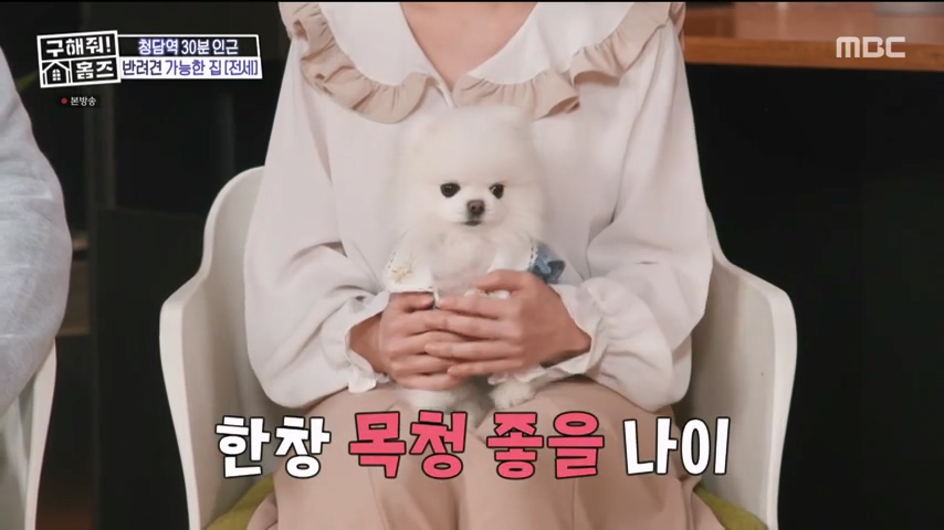 구해줘홈즈 1층집 바이브 동물병원 인접 남양주 다산동 전세 매매 매물 가격 및 구조 인테리어 리모델링 최종선택 강재준 양세찬 소개