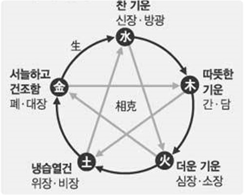 오늘의 운세 무료보기