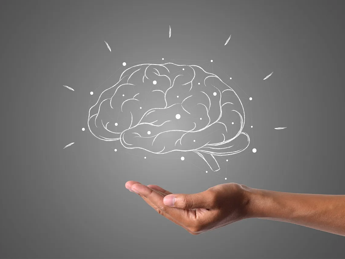 스트레스에 도움이 되는 구기자