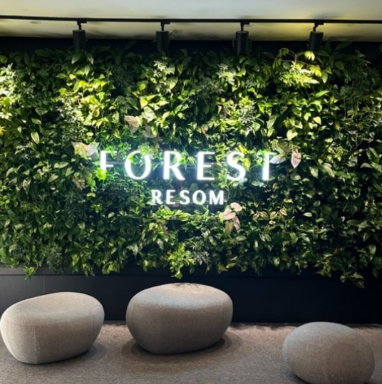 겨울/힐링/여행/추천/포레스트해브나인