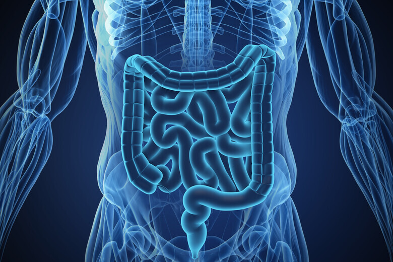 장거리 달리기와 대장암 위험성 연구 관련 이미지