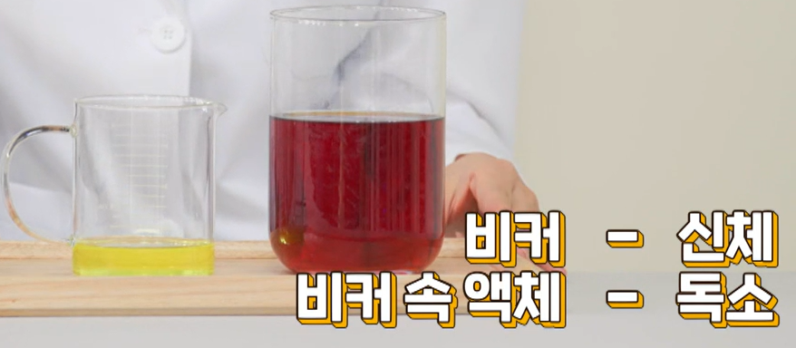 글루타치온 효능