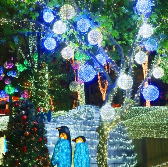 주말 아이랑 가기 좋은 곳 추천 - 별빛마을 포토랜드