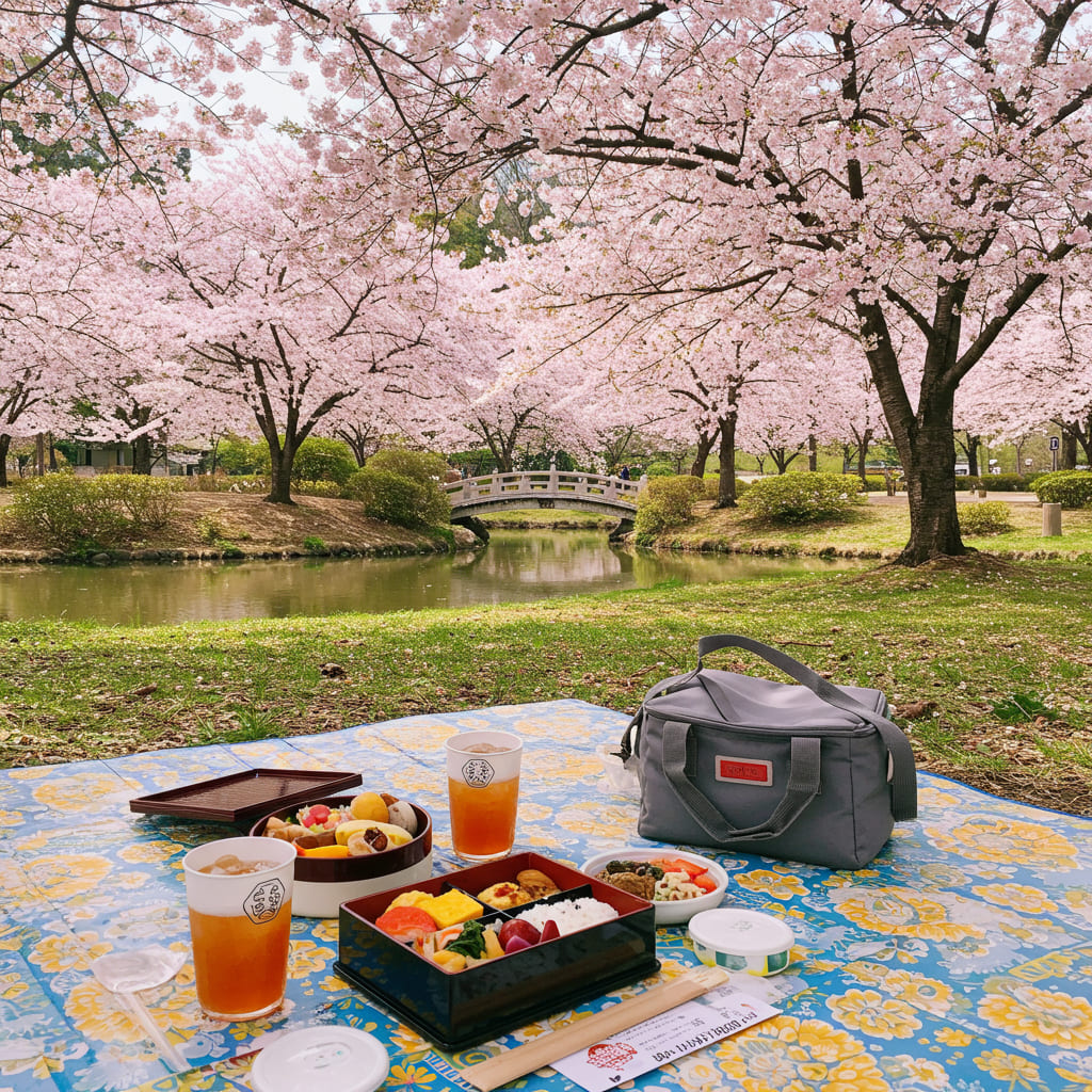 일본 공원에서 벚꽃 아래의 피크닉