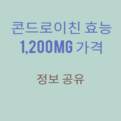 콘드로이친 효능