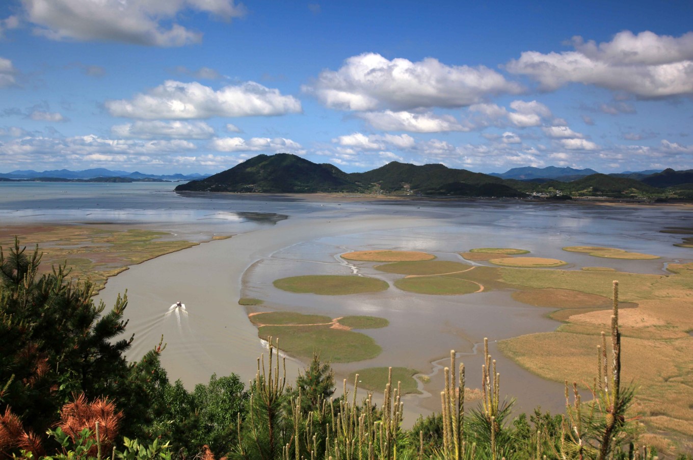 순천만-생태공원