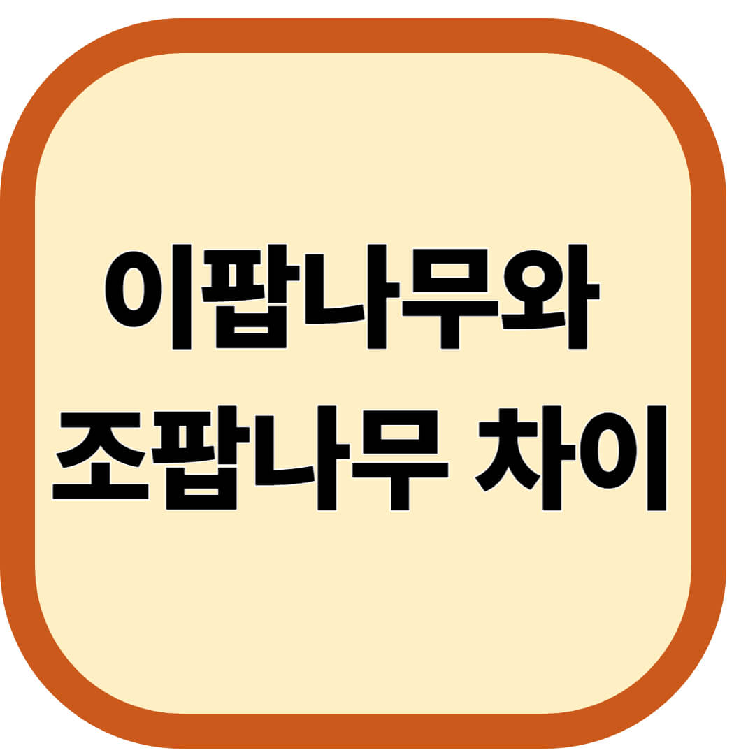 이팝나무와 조팝나무 차이