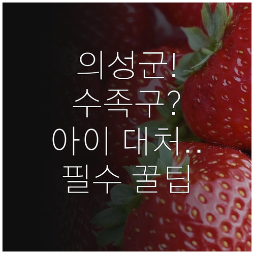 의성군 수족구 아이가 걸렸을 때 대처..