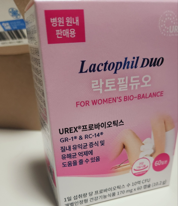 락토필듀오