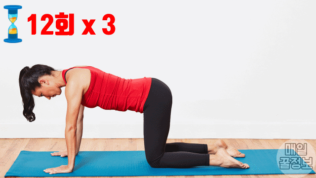 최고의 힙업 운동 5가지 동키킥, 애플힙 운동, 엉덩이 살빼는 운동, 다이어트 팁줌 매일꿀정보