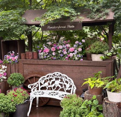 화담숲 온라인 예매