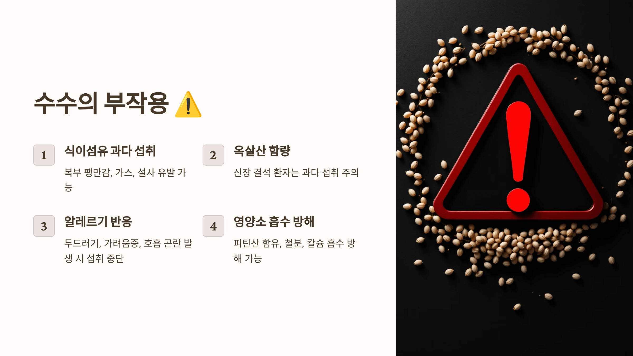 수수 사진입니다.